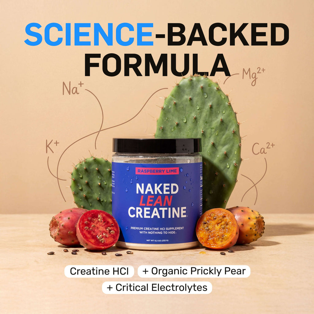 Raspberry Lime Creatine HCl Powder - Raspberry Lime for Flexible Active - Nutrition Use