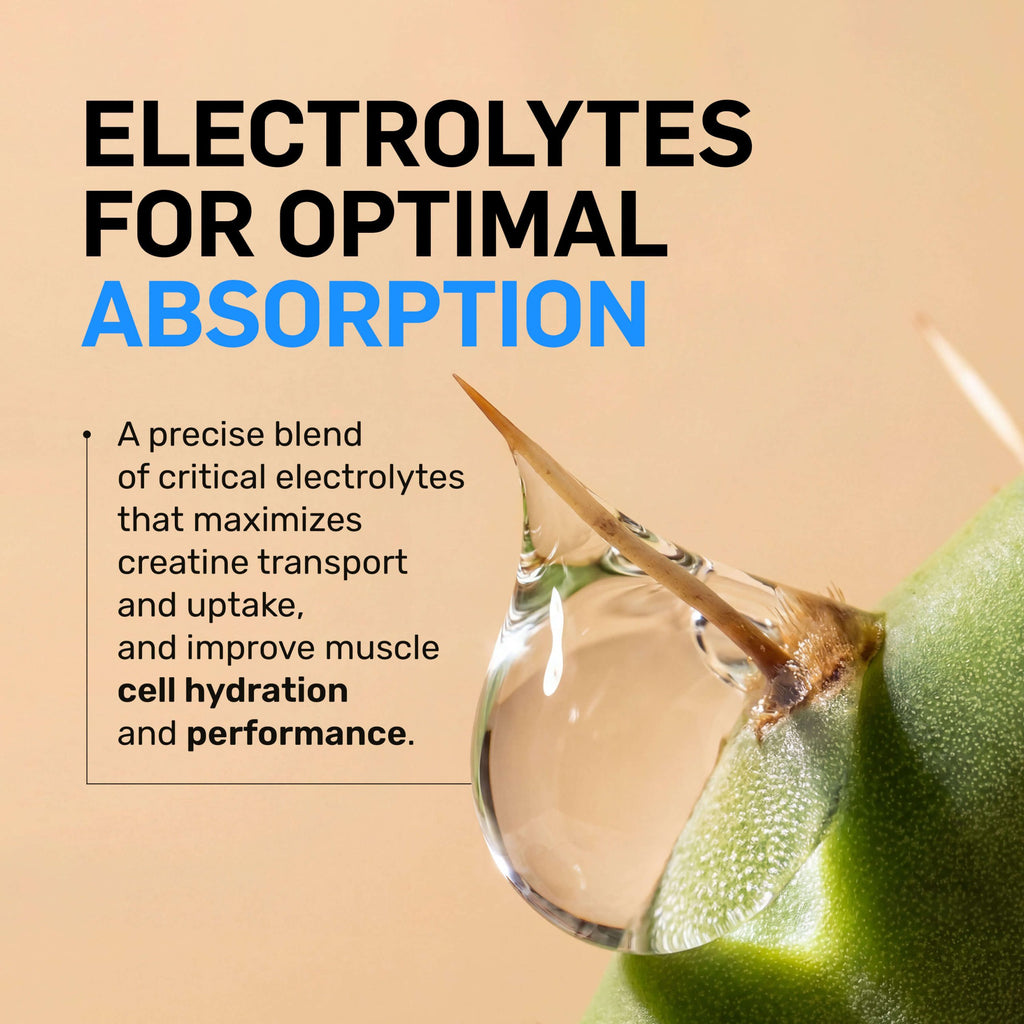 Raspberry Lime Creatine HCl Powder - Raspberry Lime for Flexible Active - Nutrition Use