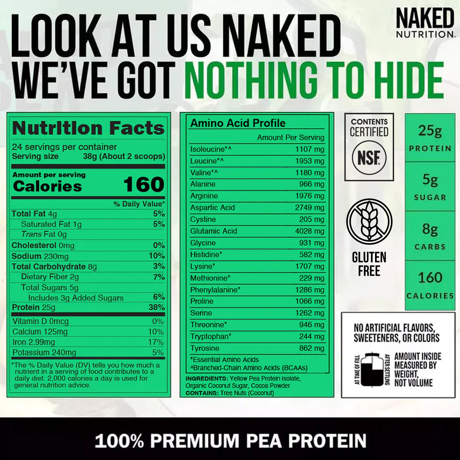 Chocolate Pea Protein Powder - Chocolate - Standard Size with a Straightforward Protein Formula