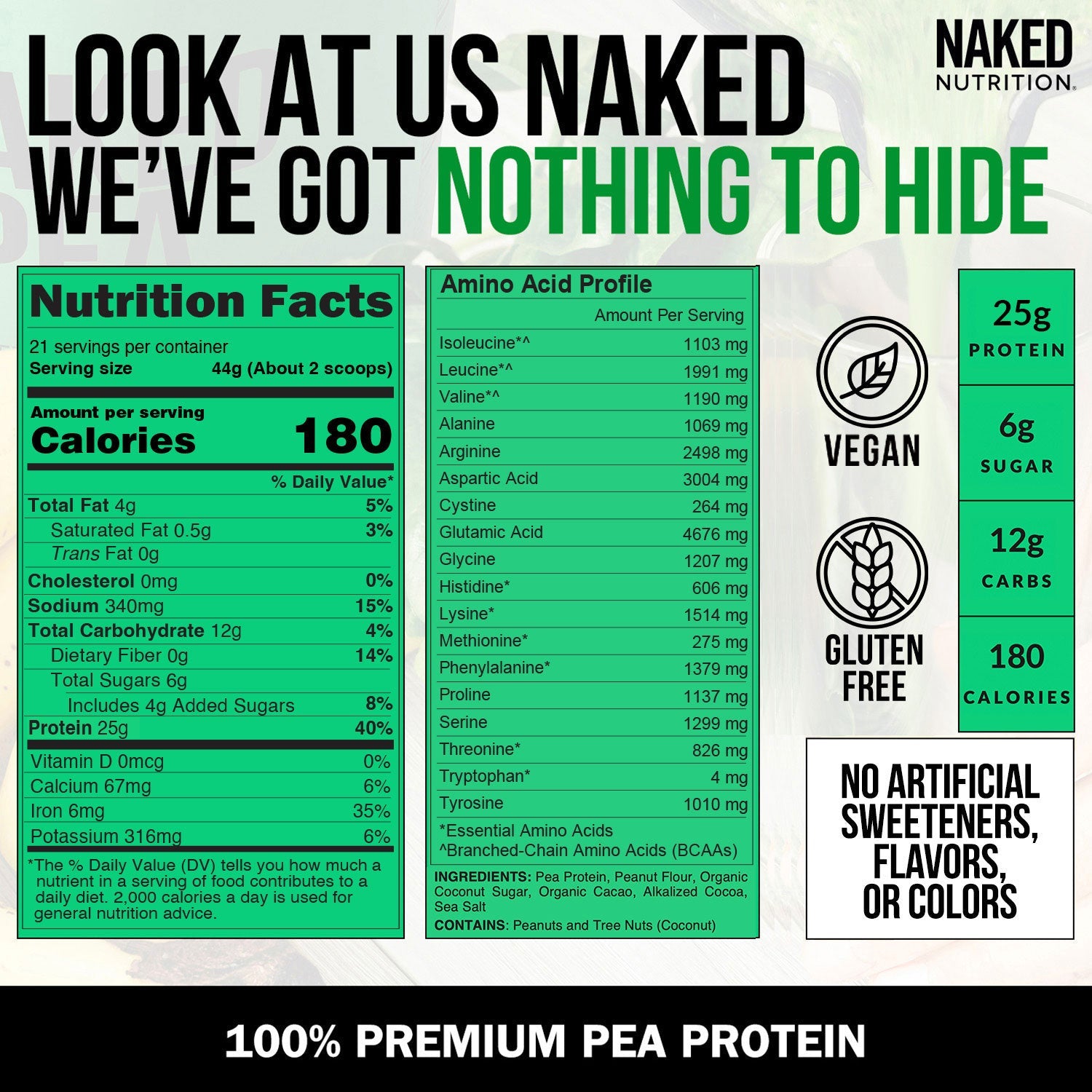 Chocolate Peanut Butter Pea Protein Powder - Chocolate PB - Chocolate Formula with a Straightforward Protein Formula