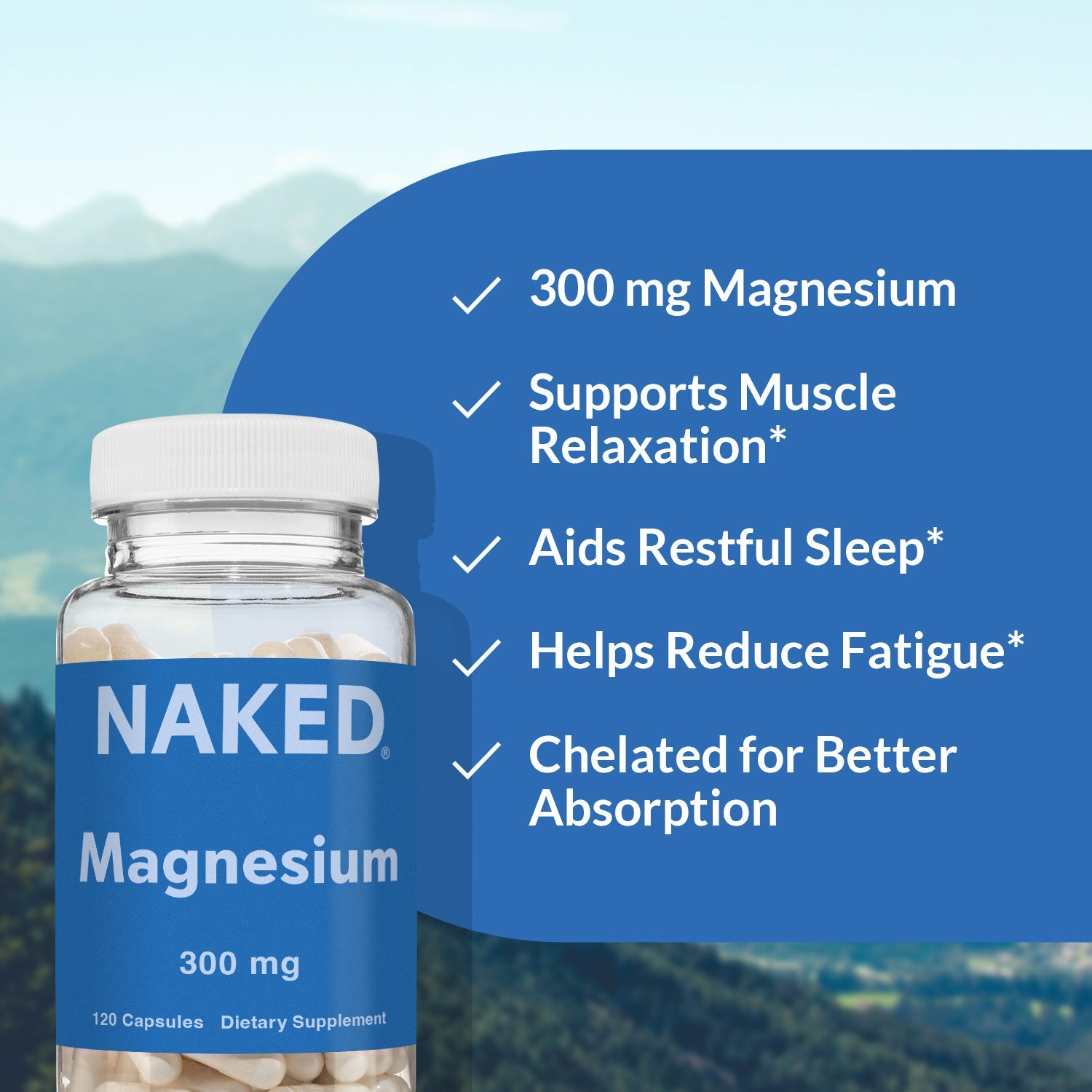 Daily Magnesium Supplement - Magnesium with a Practical Nutrition Supplement Format