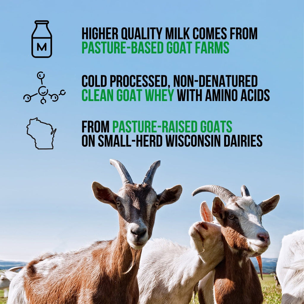 Vanilla Goat Whey Protein Powder - Vanilla with a Straightforward Protein Formula