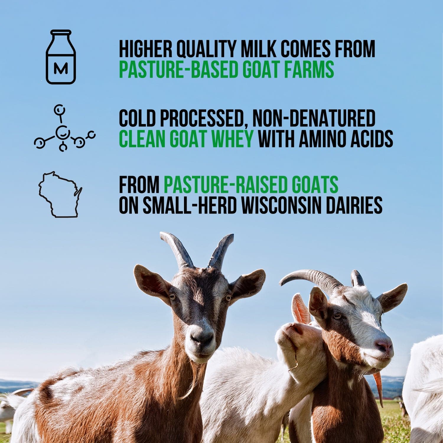 Goat Whey Protein Powder - Unflavored with a Straightforward Protein Formula