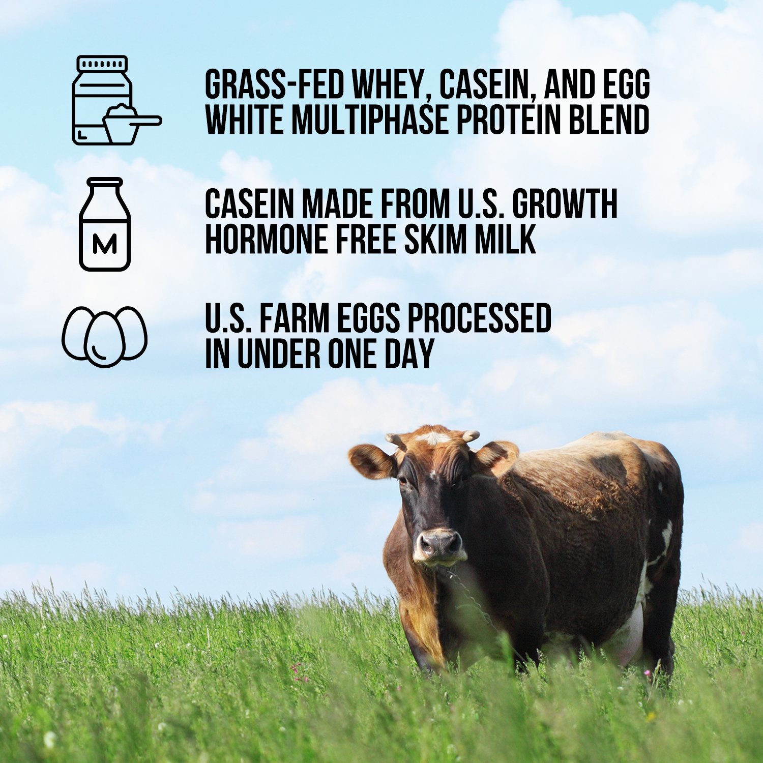 Protein Powder Blend - 1LB Egg Whey and Casein Protein Blend - 1LB with a Straightforward Protein Formula