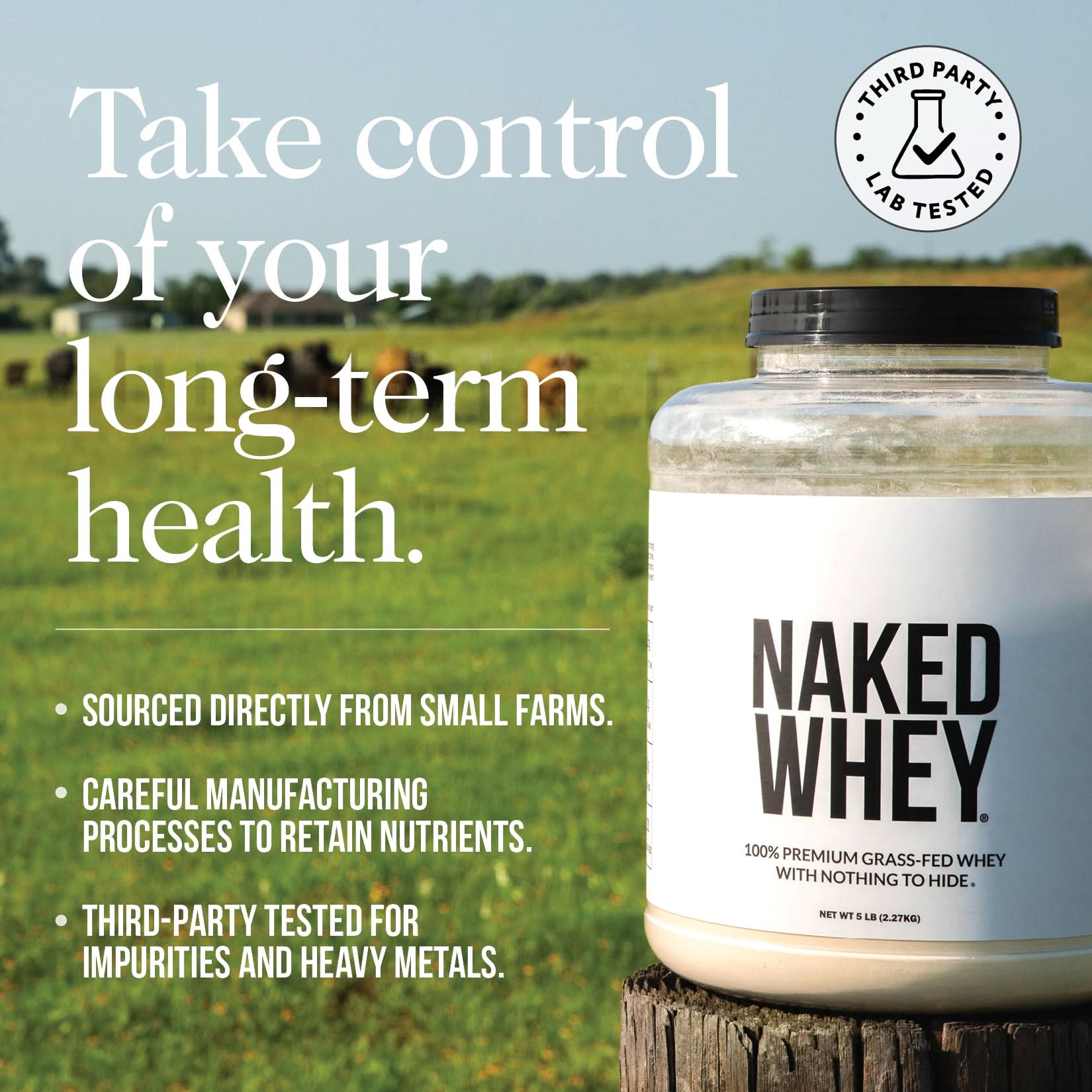 Vanilla Whey Protein Powder - Vanilla - Value Size with a Straightforward Protein Formula