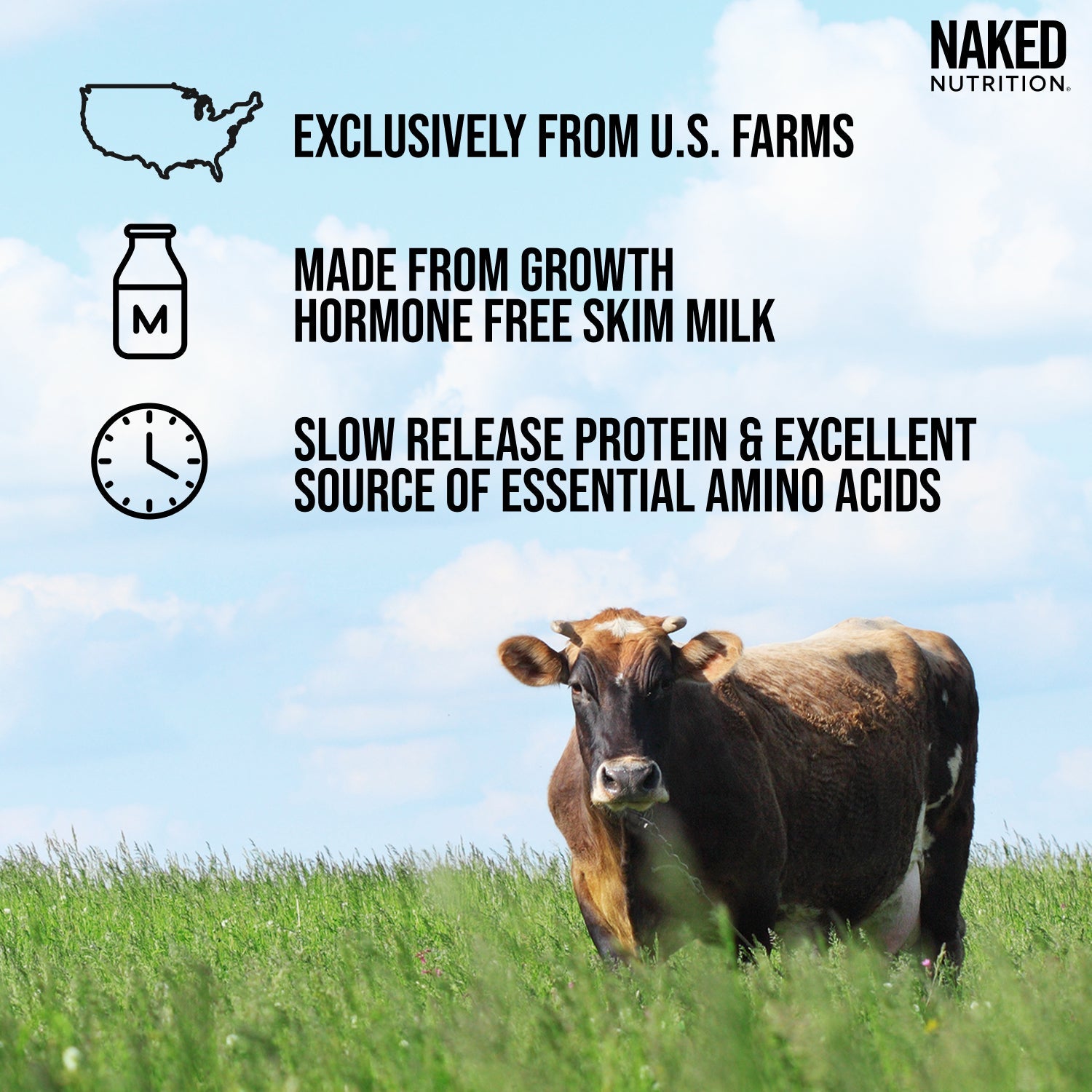 Micellar Casein Protein Powder - Unflavored - Value Size with a Straightforward Protein Formula