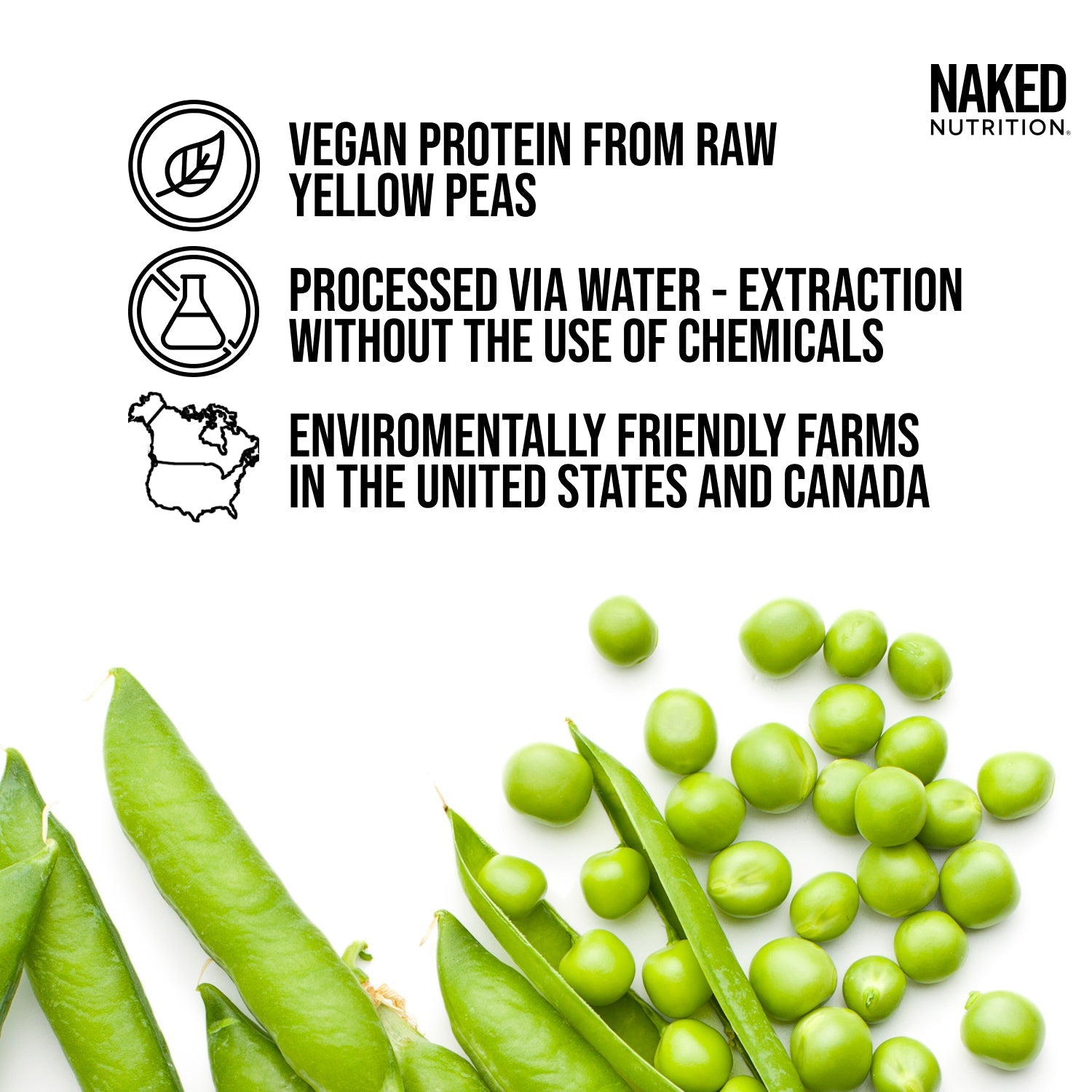 Pea Protein Powder - Unflavored - Standard Size with a Straightforward Protein Formula